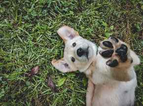 Picture for category Our Favorite Supplements